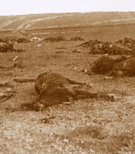 Après la charge, Beauséjour, nord de la France, c1914-c1918
