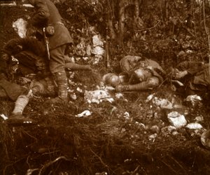 Conséquences de la bataille, vers 1914-1918