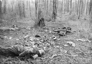Après les combats dans le parc de Plessis-de-Roye, Picardie, France, 30 mars 1918 - Unbekannt