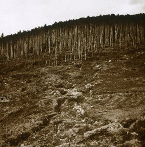 Alsace, vers 1914-1918