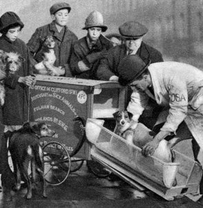 Ambulance du Dispensaire pour Animaux Malades des Pauvres, Londres, 1926-1927