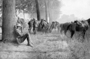 Unité de cavalerie américaine au repos, Chemin des Dames, France, 1918
