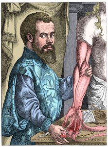 Andreas Vesalius, anatomiste flamand du 16ème siècle
