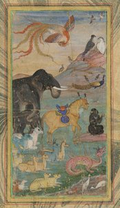 Animaux et oiseaux