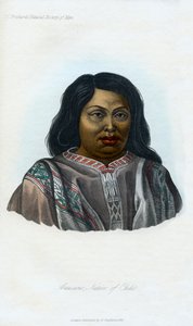 Araucano, natif du Chili, 1848