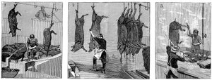 Abattoir de porcs de la compagnie Armour, Chicago, Illinois, États-Unis