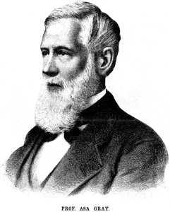 Asa Gray, botaniste américain, 1888