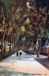 Avenue Pourpre, Ismaïlia, Égypte, c1900
