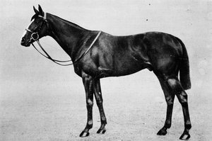 Double célibataire, 1911