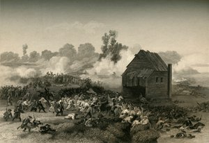 Bataille de Long Island, 1877