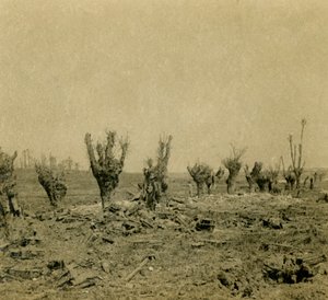 Champ de bataille, Maurepas, nord de la France, vers 1914-vers 1918