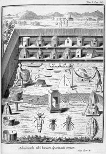 Apiculture, 1775
