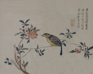 Oiseau sur une branche fleurie, 19e siècle - Unbekannt