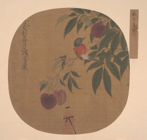 Oiseau sur une branche de litchi