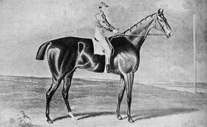 Blacklock, 1814-1831, 1911 - Unbekannt