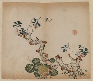 Souche ramifiée, 1368-1644 - Unbekannt