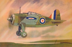 Monoplan de chasse Brewster Buffalo, vers 1944