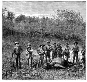 Chasseurs de buffles au Transvaal, Afrique du Sud, vers 1890 - Unbekannt