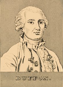 Buffon, 1707-1788, 1830 - Unbekannt