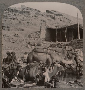 Caravane de chameaux de Jerash, s