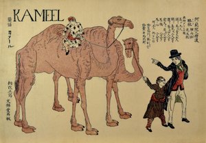 Chameaux avec des guides néerlandais, vers 1821 - Unbekannt