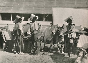 Scène de caravane avec des Shans à Bhamo, 1900