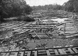 Bûches de cèdre sur la rivière Tebicuary-Guazu flottant près du pont ferroviaire, Paraguay, 1911 - Unbekannt