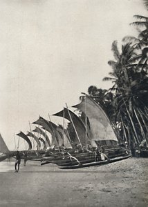 Ceylonesische Seefischerboote mit Ausleger, 1926