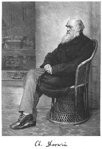 Charles Darwin, naturaliste anglais, 1883 - Unbekannt