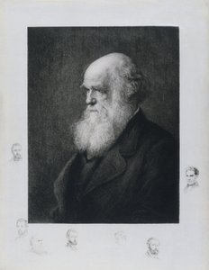 Charles Darwin, naturaliste anglais, vers les années 1860 - Unbekannt