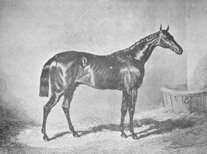 Charles XII, vainqueur du St. Leger 1839