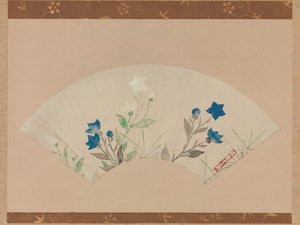 Campanules chinoises - Unbekannt
