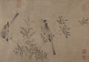 Bulbuls chinois sur un pommier en fleurs