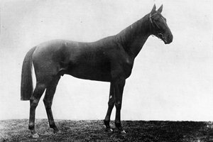 Marguerite de Noël, 1911