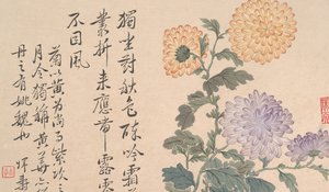 Chrysanthèmes