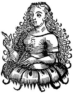 Sibylle cimmérienne, 1493