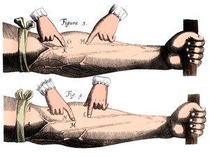 Circulation du sang, 1628