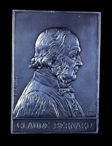 Claude Bernard, physiologiste français du 19ème siècle, 1913 - Unbekannt