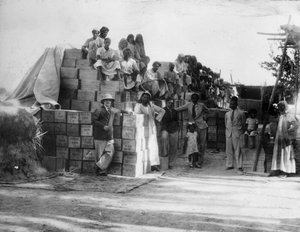Production de noix de coco, Inde, 20e siècle - Unbekannt