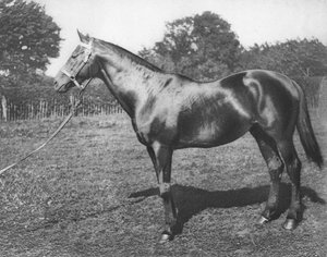 Commun, 19e siècle, 1911