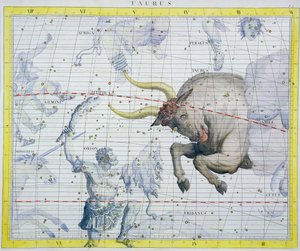 Constellation du Taureau, 1729