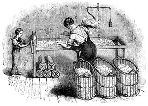 Fabrication du coton, vers 1845 - Unbekannt
