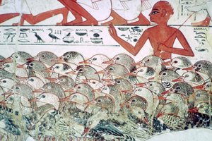 Comptage des oies : fragment de peinture murale de la tombe de Nebamun, Thèbes, Égypte, vers 1350 av. J.-C. - Unbekannt