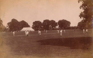 Match de cricket, fin 19ème-début 20ème siècle