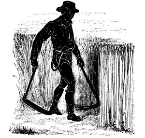 Rotation des cultures : moisson avec une faux de Hainault, 1855 - Unbekannt