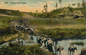 Train de meute cubain, vers 1910 - Unbekannt