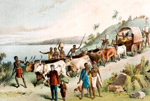 David Livingstone, missionnaire écossais et explorateur africain, 1849 c1878