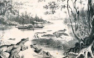 David Livingstone naviguant sur le Zambèze, Afrique, 1852-1864 c1878 - Unbekannt