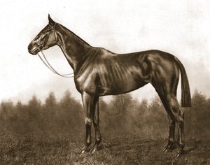 Démure, 1911