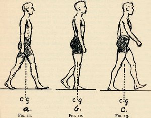 Principes principaux de la locomotion, 1940